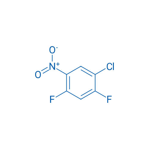 1-Chloro-2,4-difluoro-5-nitrobenzene 100g