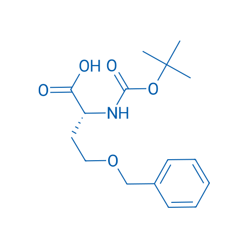 Boc-D-Hse(Bzl)-OH 1g