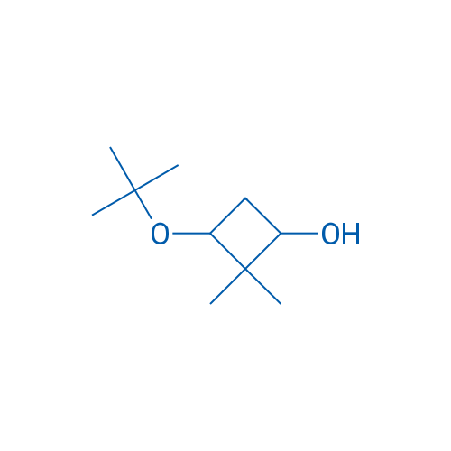 3-(tert-Butoxy)-2,2-dimethylcyclobutan-1-ol 1g