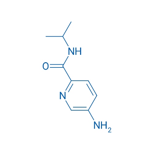 5-Amino-N-isopropylpyridine-2-carboxamide 1g