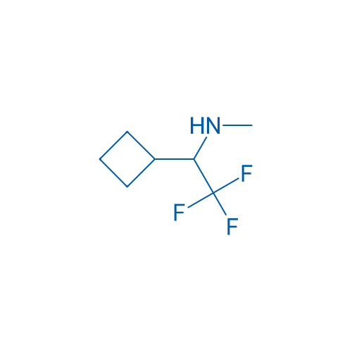 (1-Cyclobutyl-2,2,2-trifluoroethyl)(methyl)amine 1g
