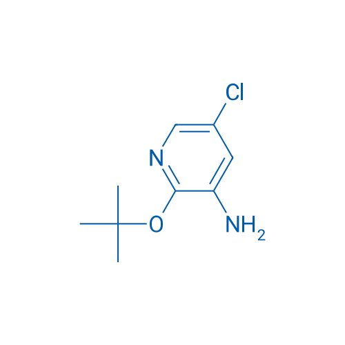 2-(tert-Butoxy)-5-chloropyridin-3-amine 1g