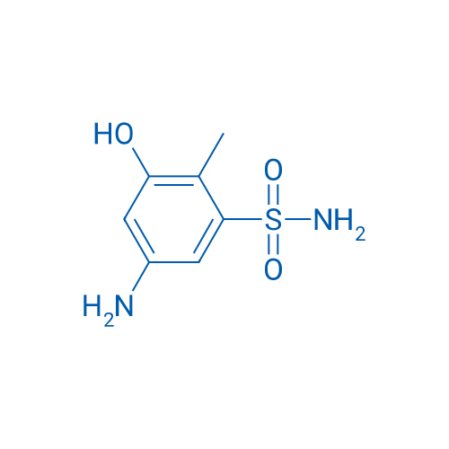 5-Amino-3-hydroxy-2-methylbenzene-1-sulfonamide 1g