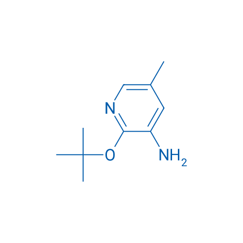 2-(tert-Butoxy)-5-methylpyridin-3-amine 1g