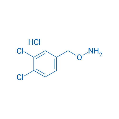 O-(3,4-Dichlorobenzyl)hydroxylamine hydrochloride 1g
