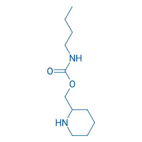 Piperidin-2-ylmethyl N-butylcarbamate 1g