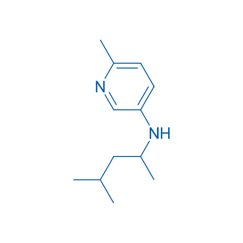 6-Methyl-N-(4-methylpentan-2-yl)pyridin-3-amine 1g
