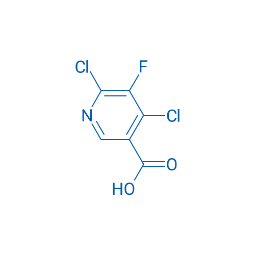 4,6-Dichloro-5-fluoronicotinic acid 250mg