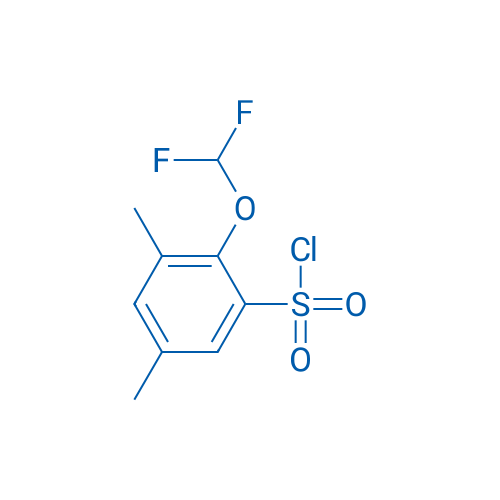 2-(Difluoromethoxy)-3,5-dimethylbenzene-1-sulfonyl chloride 1g