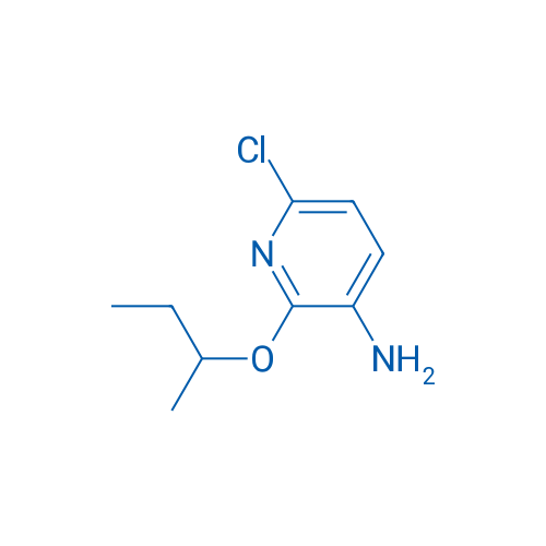 2-(Butan-2-yloxy)-6-chloropyridin-3-amine 1g