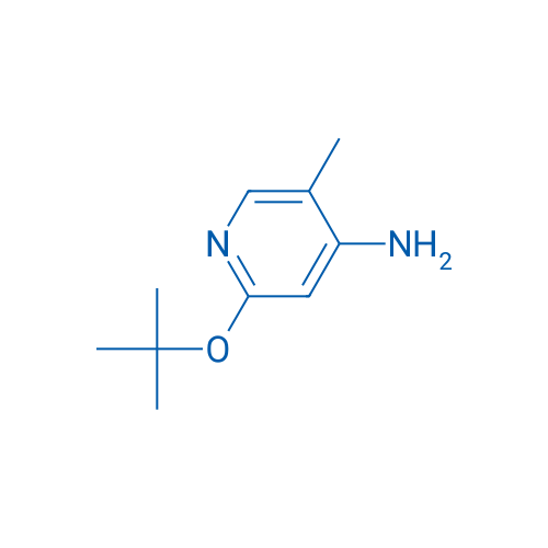 2-(tert-Butoxy)-5-methylpyridin-4-amine 1g