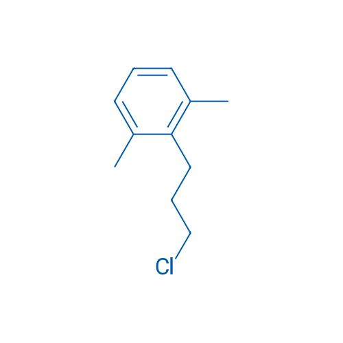 2-(3-Chloropropyl)-1,3-dimethylbenzene 1g