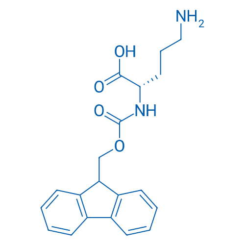 Fmoc-Orn-OH 25g