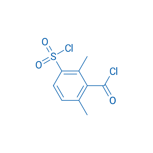 3-(Chlorosulfonyl)-2,6-dimethylbenzoyl chloride 1g