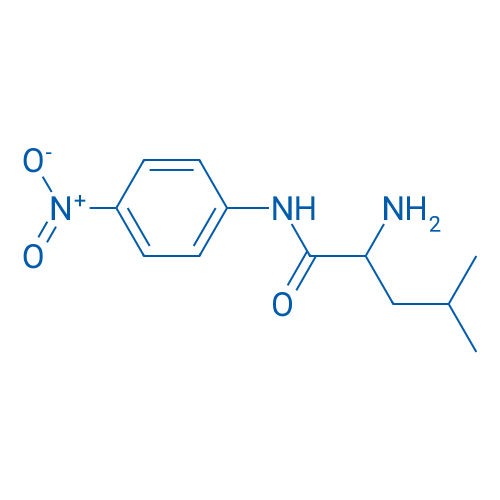 N-1-(4-NItrophenyl)leucinamide 250mg