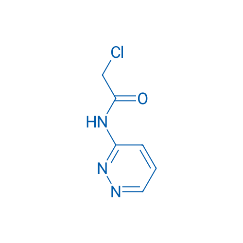 2-Chloro-N-(pyridazin-3-yl)acetamide 1g
