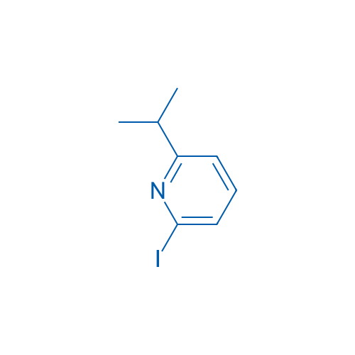 2-Iodo-6-isopropylpyridine 10g