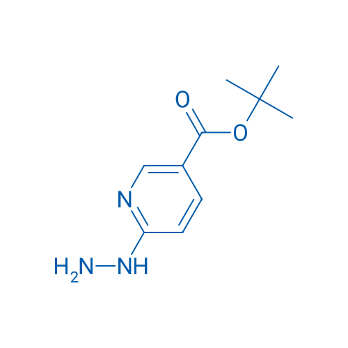 tert-Butyl 6-hydrazinylnicotinate 100mg