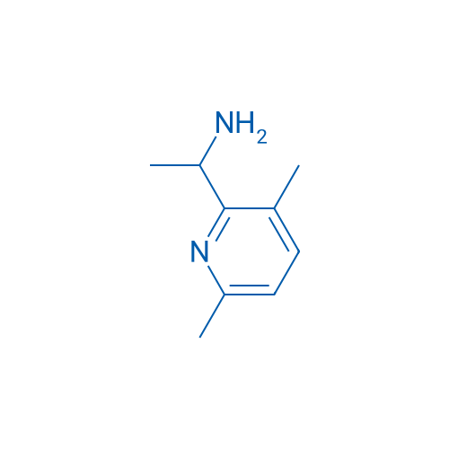 1-(3,6-Dimethylpyridin-2-yl)ethanamine 1g