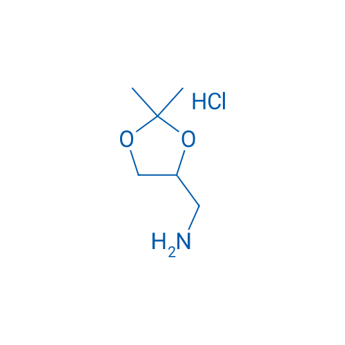 (2,2-Dimethyl-1,3-dioxolan-4-yl)methanamine hydrochloride 1g
