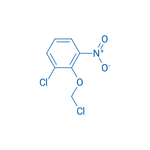 1-Chloro-2-(chloromethoxy)-3-nitrobenzene 1g