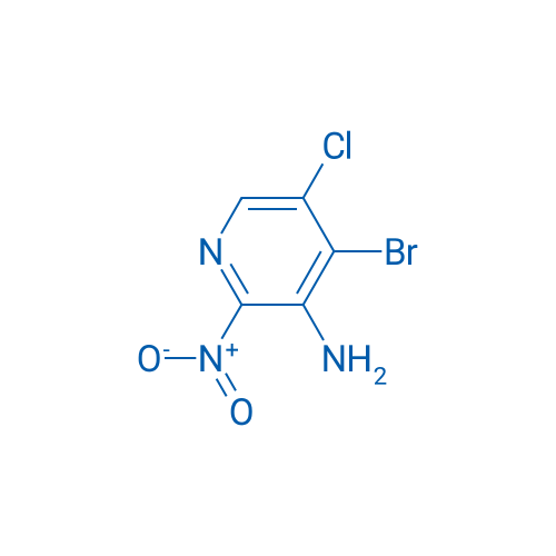 4-Bromo-5-chloro-2-nitropyridin-3-amine 1g