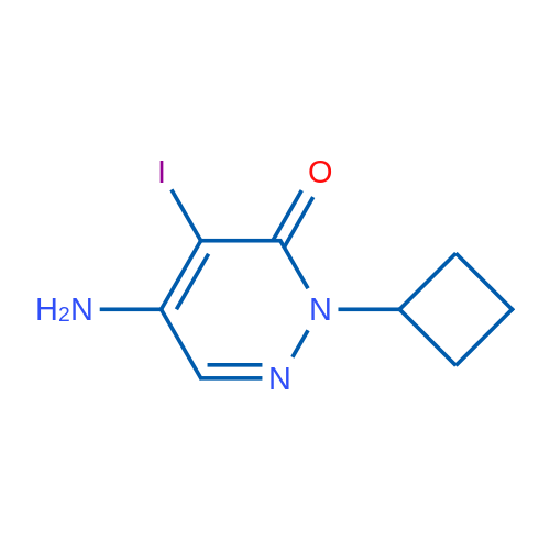 5-Amino-2-cyclobutyl-4-iodopyridazin-3(2H)-one 1g