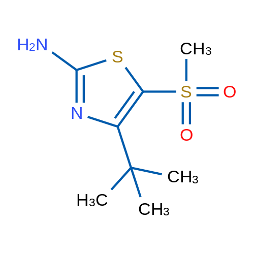 4-(tert-Butyl)-5-(methylsulfonyl)thiazol-2-amine 1g