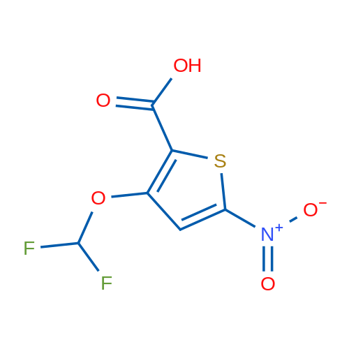 3-(Difluoromethoxy)-5-nitrothiophene-2-carboxylic acid 1g