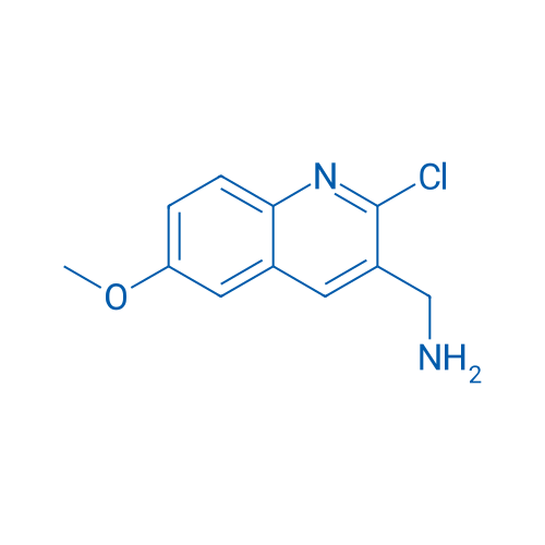 (2-Chloro-6-methoxyquinolin-3-yl)methanamine 1g