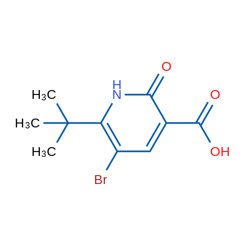 5-Bromo-6-(tert-butyl)-2-oxo-1,2-dihydropyridine-3-carboxylic acid 1g
