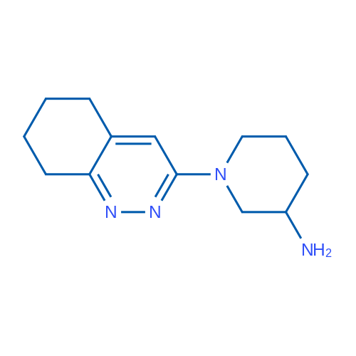 1-(5,6,7,8-Tetrahydrocinnolin-3-yl)piperidin-3-amine 1g
