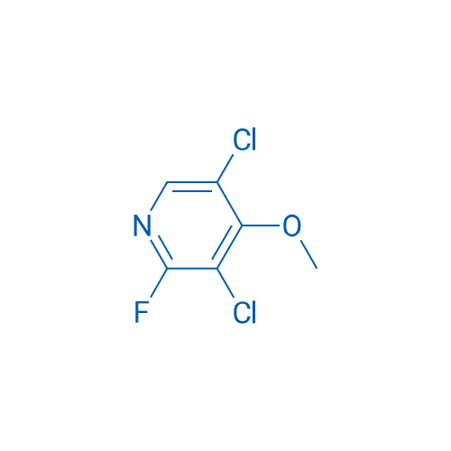 3,5-Dichloro-2-fluoro-4-methoxypyridine 1g