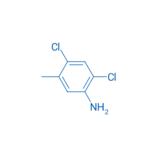 2,4-Dichloro-5-methylaniline 100g
