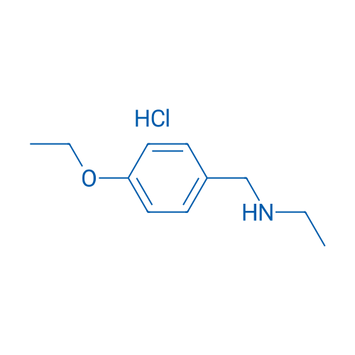 N-(4-Ethoxybenzyl)ethanamine hydrochloride 1g