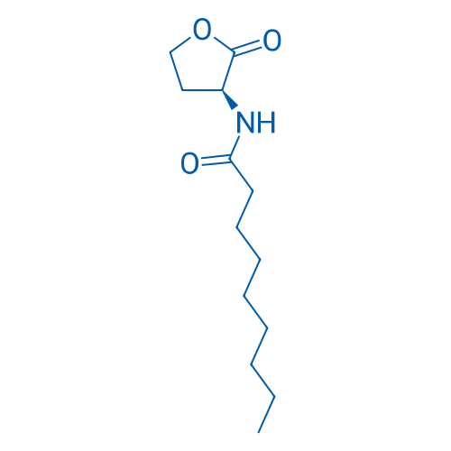 N-Nonanoyl-L-homoserine lactone 10mg