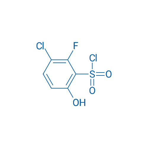 3-Chloro-2-fluoro-6-hydroxybenzene-1-sulfonyl chloride 1g