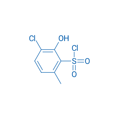 3-Chloro-2-hydroxy-6-methylbenzene-1-sulfonyl chloride 1g