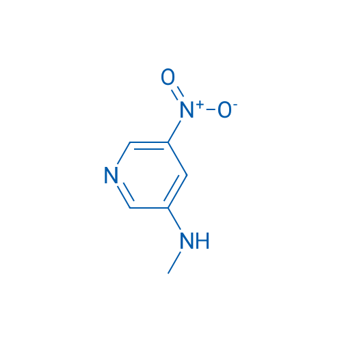 N-Methyl-5-nitropyridin-3-amine 1g