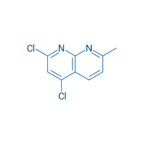 2,4-Dichloro-7-methyl-1,8-naphthyridine 250mg