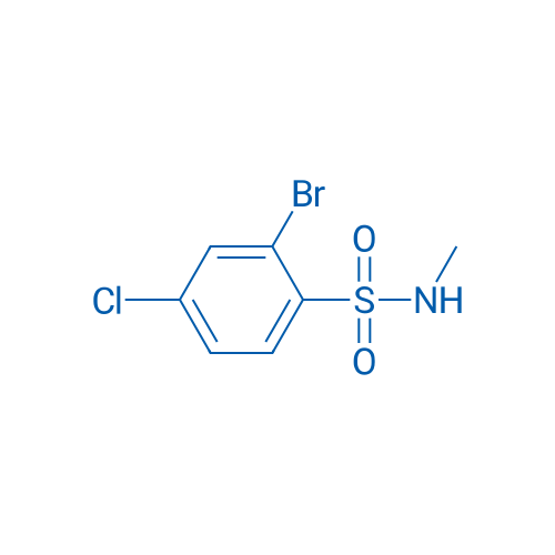 2-Bromo-4-chloro-N-methylbenzene-1-sulfonamide 1g