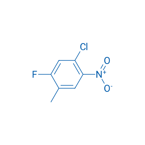 4-Chloro-2-fluoro-5-nitrotoluene 10g