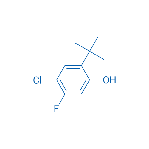 2-(TERT-BUTYL)-4-CHLORO-5-FLUOROPHENOL 250mg