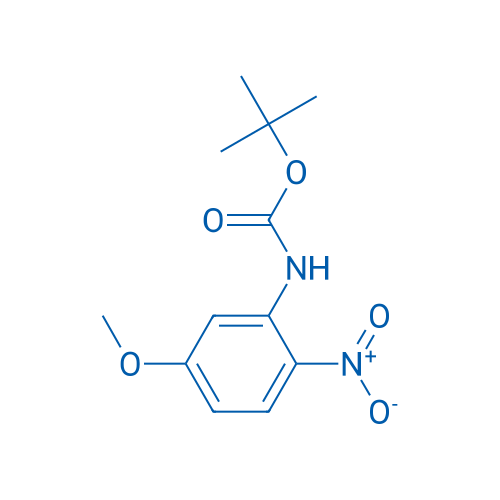 tert-Butyl (5-methoxy-2-nitrophenyl)carbamate 1g