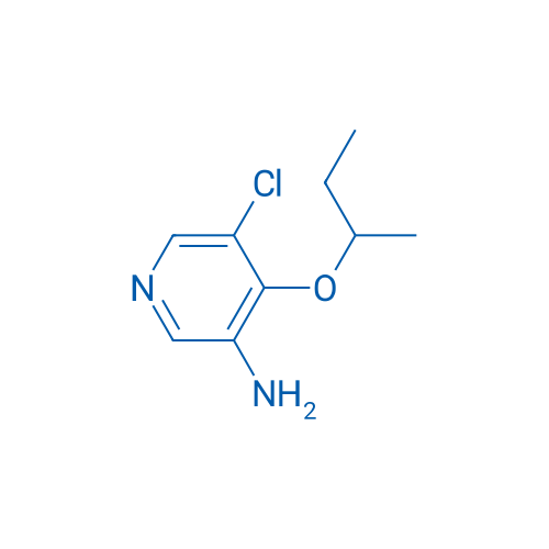 4-(Butan-2-yloxy)-5-chloropyridin-3-amine 1g