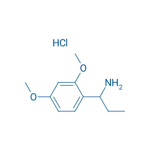 1-(2,4-Dimethoxyphenyl)propan-1-amine hydrochloride 1g