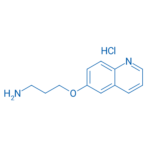 3-(Quinolin-6-yloxy)propan-1-amine hydrochloride 1g