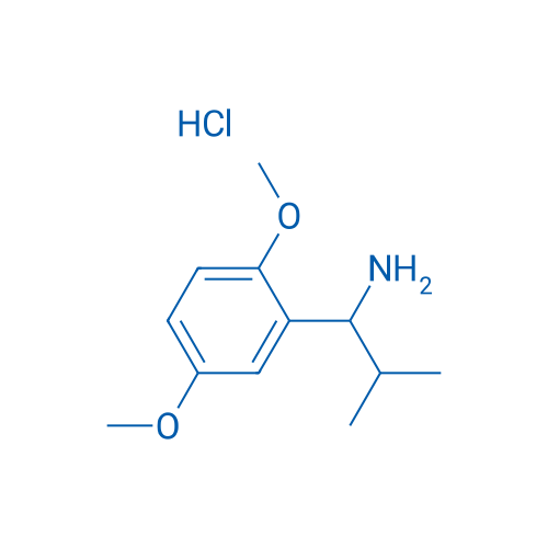 1-(2,5-Dimethoxyphenyl)-2-methylpropan-1-amine hydrochloride 1g