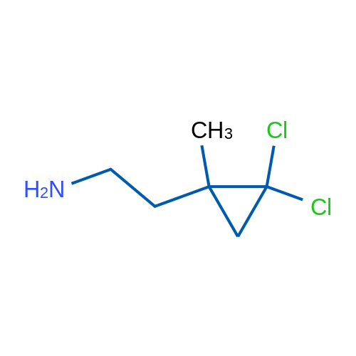 2-(2,2-Dichloro-1-methylcyclopropyl)ethan-1-amine 1g