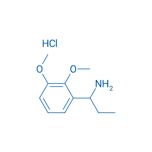1-(2,3-Dimethoxyphenyl)propan-1-amine hydrochloride 1g
